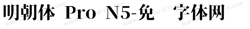 明朝体 Pro N5字体转换